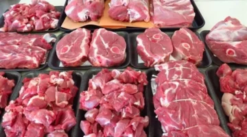 ارتفاع غير مسبوق في أسعار اللحوم مع قفزة الضاني بـ35 جنيهًا في الأسواق